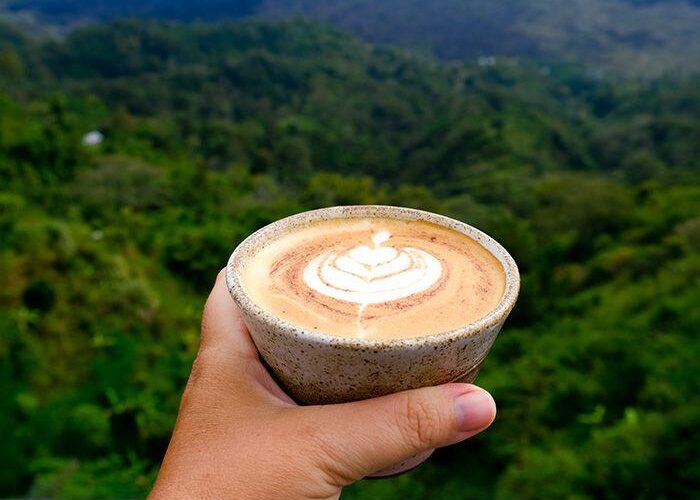 12 Essentiële Tips om Koffiebonen Vers te Houden