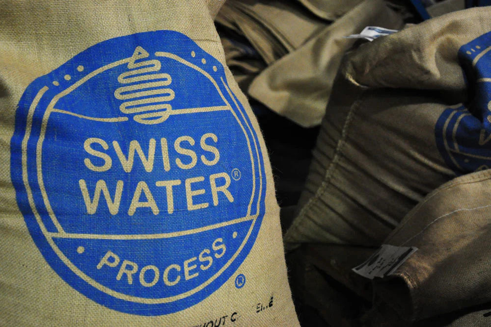 De 12 Beste Voordelen van Decaf Koffie: Swiss Water Proces