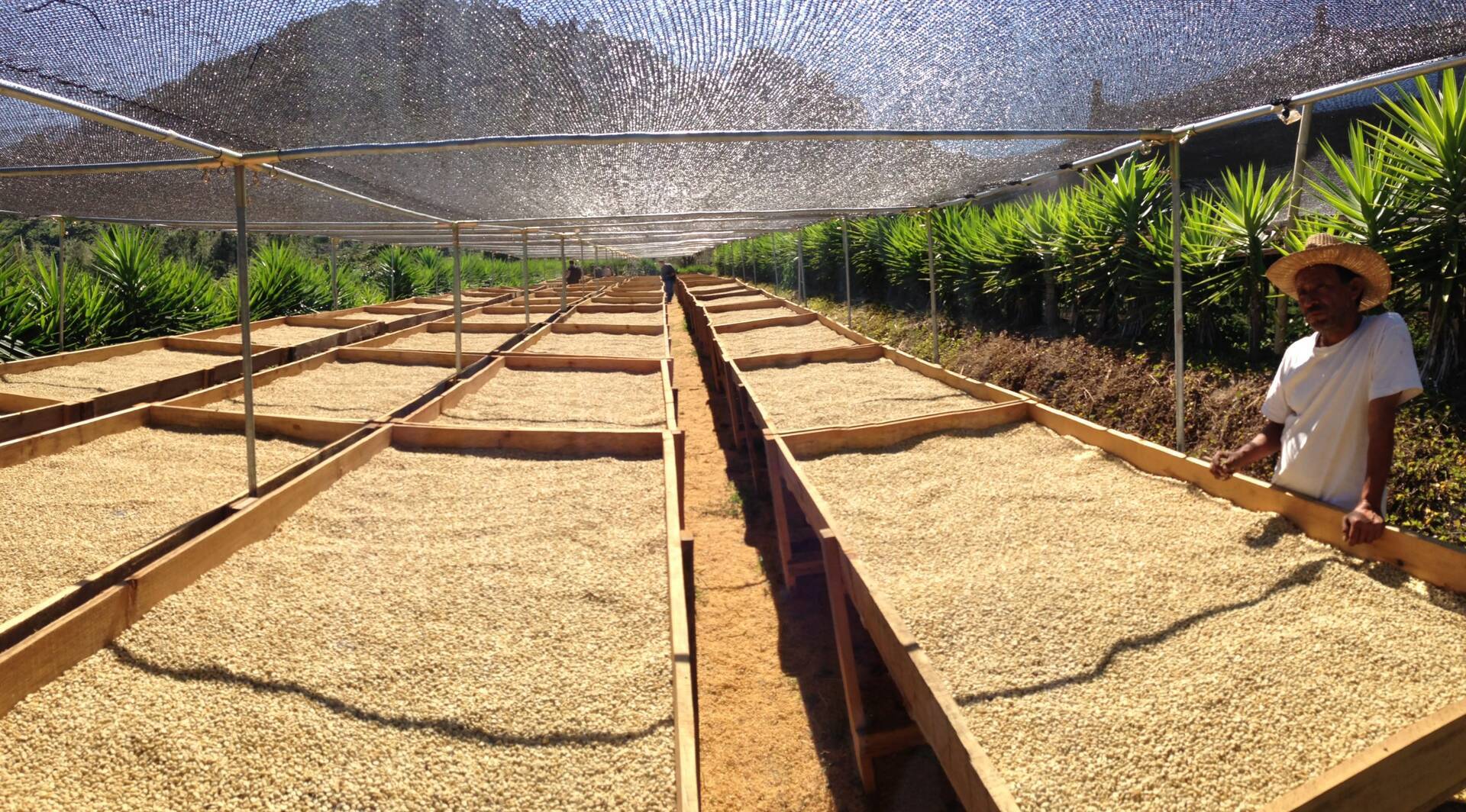 Koffie proefzakjes bestellen: de ultieme smaaktest – pakket & cadeau gids