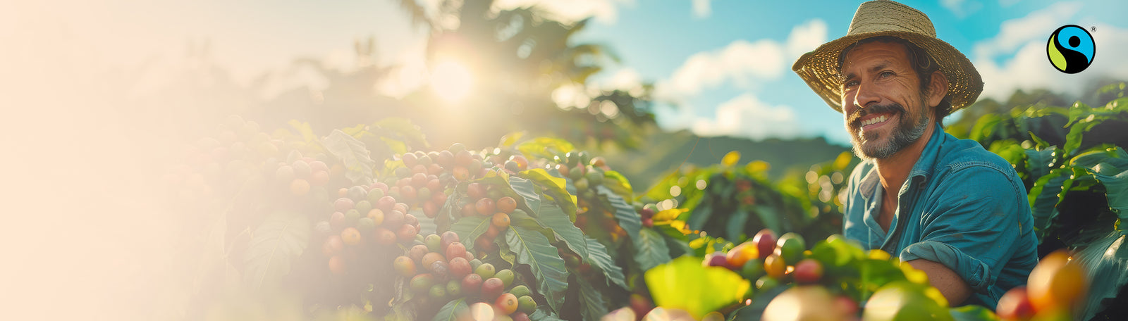 Vrolijke koffieboer met hoed in een zonnige koffieplantage, omringd door rijpe koffiebessen en een Fairtrade-logo rechtsboven.